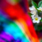 Psychologia behawioralna: co to jest?