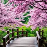 Ile trwają wakacje w Japonii?